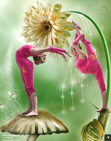 Contortion