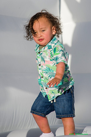 Stylin-3867