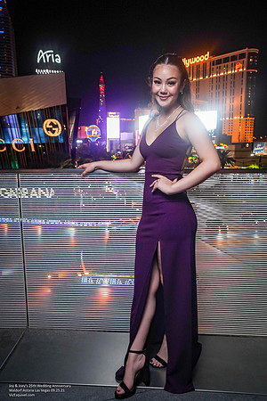 VIC-03441
