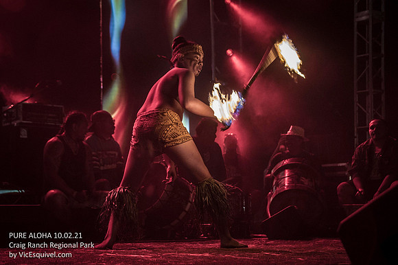 VIC-8221