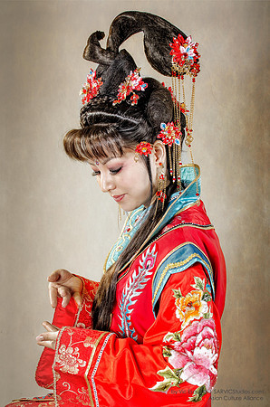 _VIC6540